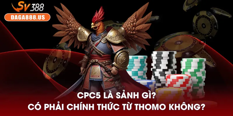Đá Gà CPC5 - Sảnh Đầy “Biến” Cho Người Thích Cảm Giác Mạnh 2 CPC5 là sảnh gì? có phải chính thức từ Thomo không?