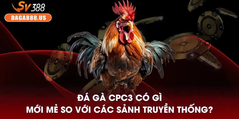 Đá Gà CPC3 - Hội Tụ Những Trận Gà Mới Mẻ Dành Cho Kê Thủ 2 Đá gà CPC3 có gì mới mẻ so với các sảnh truyền thống?