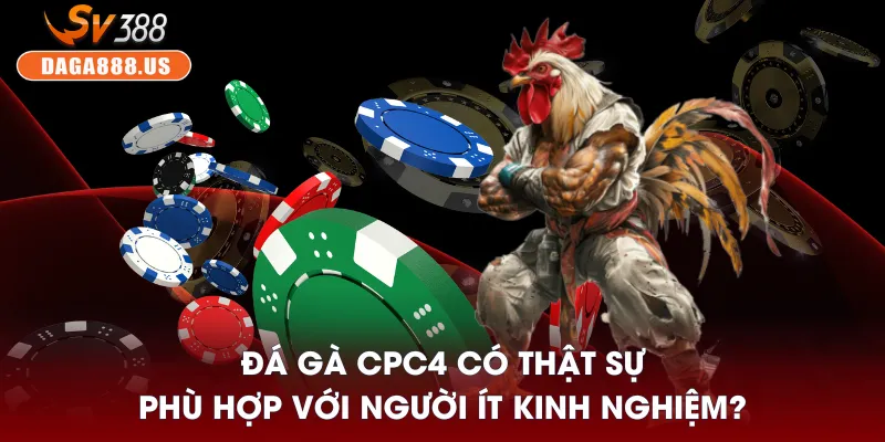 Đá Gà CPC4 - Lựa Chọn Cho Người Chơi Muốn Ăn Chắc 2 Đá gà CPC4 có thật sự phù hợp với người ít kinh nghiệm?