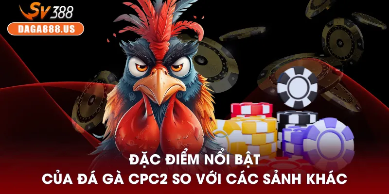 Đá Gà CPC2 - Ổn Định Với Nhiều Trận Hay Vào Khung Giờ Trưa 3 Đặc điểm nổi bật của đá gà CPC2 so với các sảnh khác