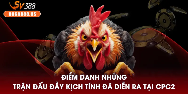 Đá Gà CPC2 - Ổn Định Với Nhiều Trận Hay Vào Khung Giờ Trưa 4 Điểm danh những trận đấu đầy kịch tính đã diễn ra tại CPC2