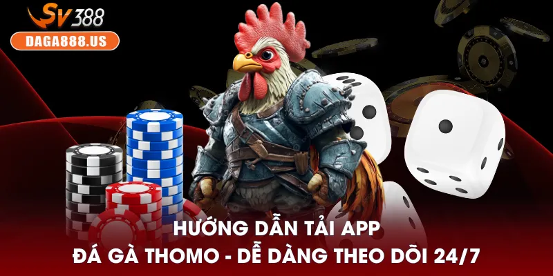 Tải app đá gà Thomo