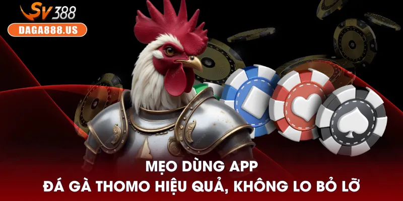 Hướng Dẫn Tải App Đá Gà Thomo - Dễ Dàng Theo Dõi 24/7 4 Mẹo dùng app đá gà Thomo hiệu quả, không lo bỏ lỡ