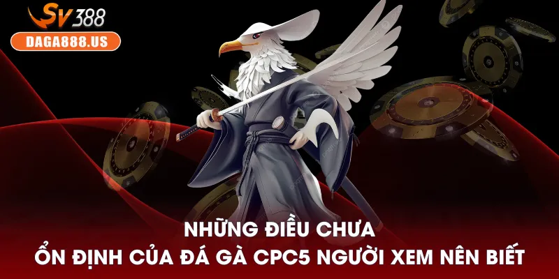 Đá Gà CPC5 - Sảnh Đầy “Biến” Cho Người Thích Cảm Giác Mạnh 4 Những điều chưa ổn định của đá gà CPC5 người xem nên biết