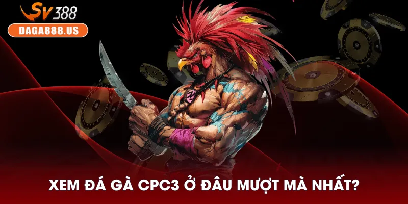 Đá Gà CPC3 - Hội Tụ Những Trận Gà Mới Mẻ Dành Cho Kê Thủ 4 Xem đá gà CPC3 ở đâu mượt mà nhất?